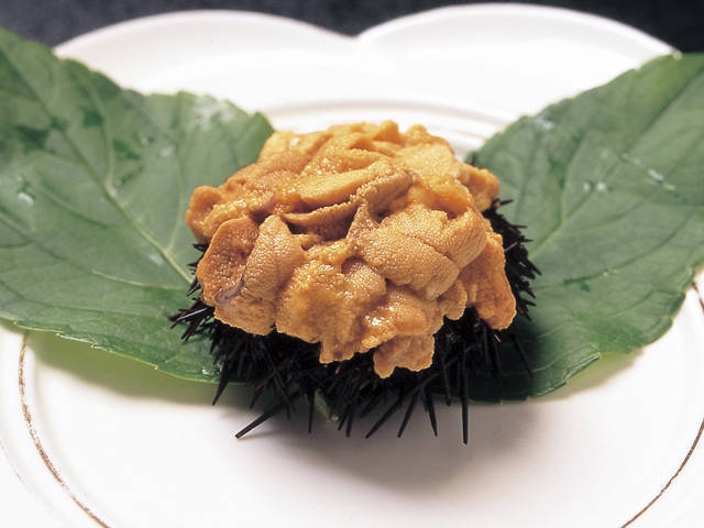 うまし宿 漁亭 美乃島の営業時間 場所 地図等の情報 まっぷるトラベルガイド