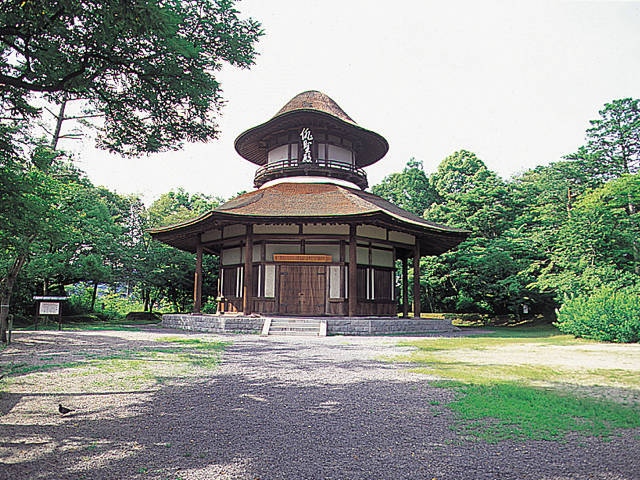 伊賀上野で必ず行きたい!ガイド編集部おすすめの公園スポット 