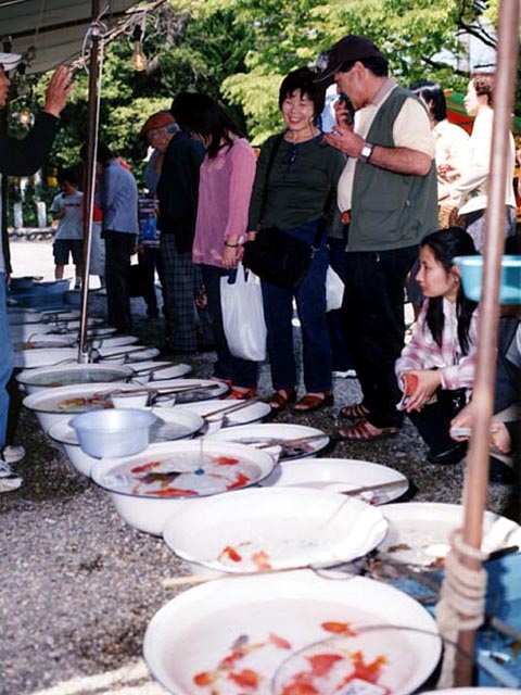 桑名 四日市のおすすめの神事 神楽などスポットをご紹介します 毎年自慢の金魚を金魚屋が披露する 鎮国守国神社の例祭 金魚まつり 多度の白馬によきことを願う 多度祭 上げ馬神事 など情報満載