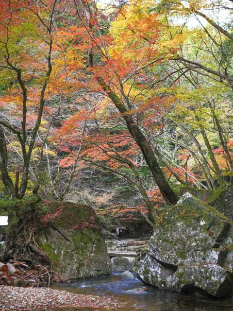 伊勢志摩 三重で必ず行きたい ガイド編集部おすすめの紅葉 新緑の名所スポット まっぷるトラベルガイド