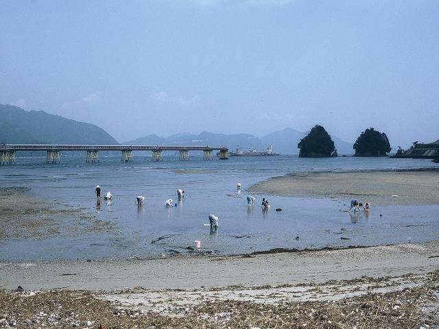 東海 北陸で必ず行きたい ガイド編集部おすすめの潮干狩りスポット まっぷるトラベルガイド