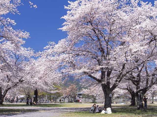 京都で必ず行きたい ガイド編集部おすすめの公園スポット まっぷるトラベルガイド