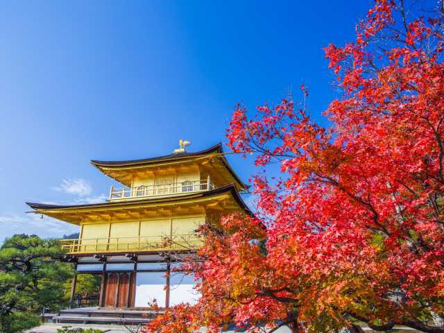 金閣寺 嵐山 高雄に行くならここ ガイド編集部厳選のおすすめ観光 旅行スポット まっぷるトラベルガイド