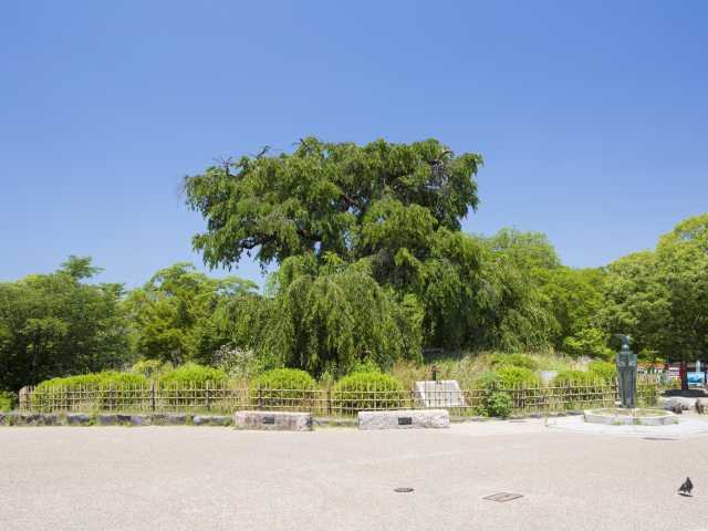 京都で必ず行きたい ガイド編集部おすすめの公園スポット まっぷるトラベルガイド