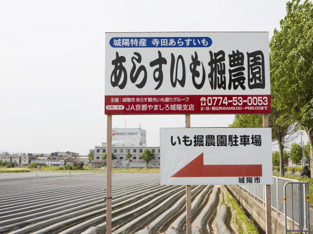 あらす観光いも掘り農園 ー 自然の中の芋掘り体験を 大人から子供まで楽しめる 営業時間 場所 地図等の情報 まっぷるトラベルガイド