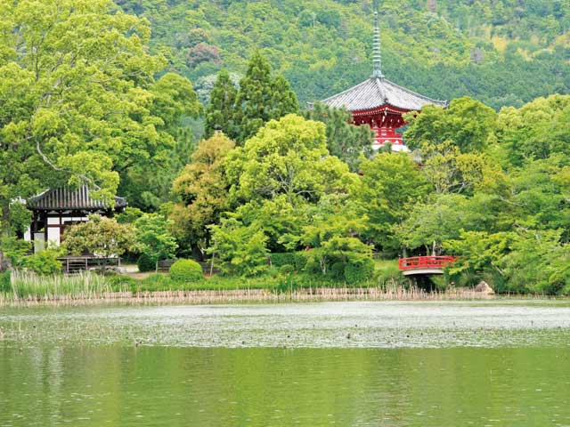 京都で必ず行きたい ガイド編集部おすすめの自然地形スポット まっぷるトラベルガイド