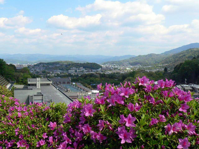 京都で必ず行きたい ガイド編集部おすすめのその他花の名所スポット まっぷるトラベルガイド