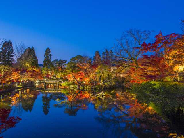 京都 宇治で必ず行きたい ガイド編集部おすすめの紅葉 新緑の名所スポット まっぷるトラベルガイド