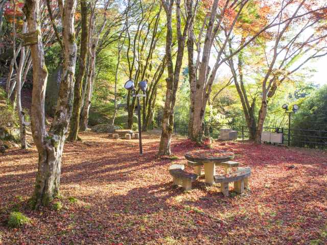 笠置山の紅葉の営業時間 場所 地図等の情報 まっぷるトラベルガイド