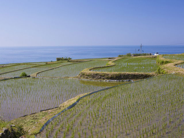 袖志の棚田の営業時間 場所 地図等の情報 まっぷるトラベルガイド