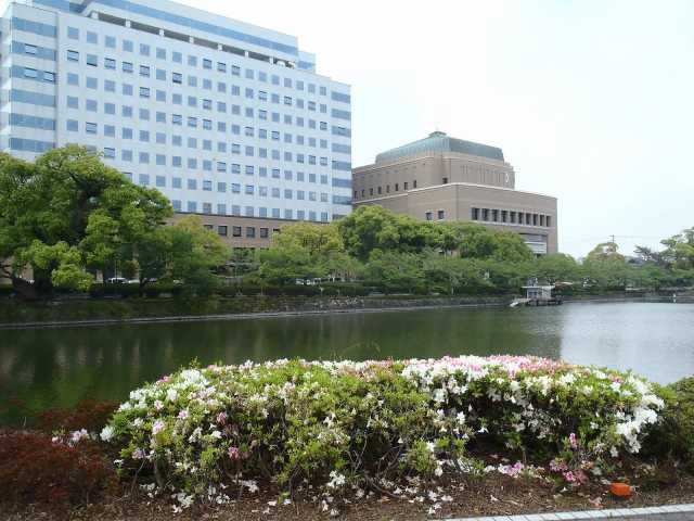 佐賀で必ず行きたい ガイド編集部おすすめの公園スポット まっぷるトラベルガイド