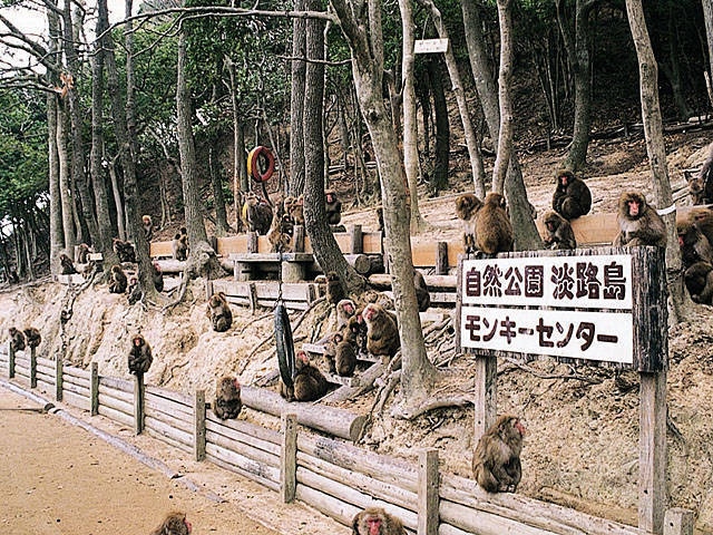 淡路島で必ず行きたい ガイド編集部おすすめの動物園スポット まっぷるトラベルガイド