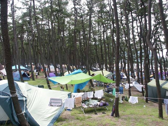 浜坂県民サンビーチ ー 海水浴のほかキャンプや釣り 立ち寄り湯など楽しみが豊富 営業時間 場所 地図等の情報 まっぷるトラベルガイド