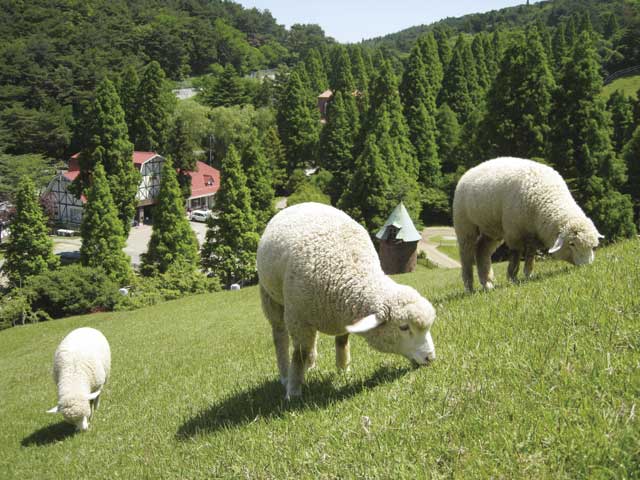 神戸で必ず行きたい ガイド編集部おすすめの体験 アクティビティスポット まっぷるトラベルガイド