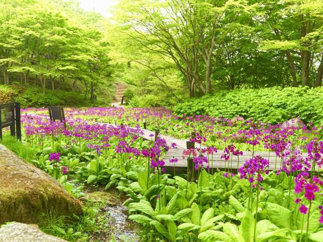 関西で必ず行きたい ガイド編集部おすすめの植物園スポット まっぷるトラベルガイド