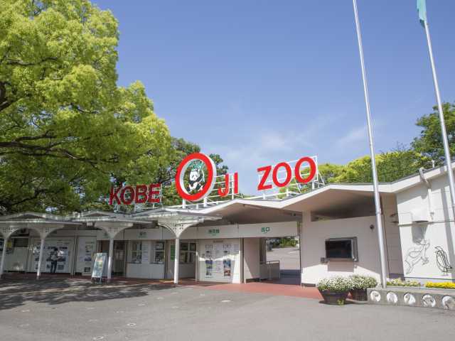 関西で必ず行きたい ガイド編集部おすすめの動物園スポット まっぷるトラベルガイド