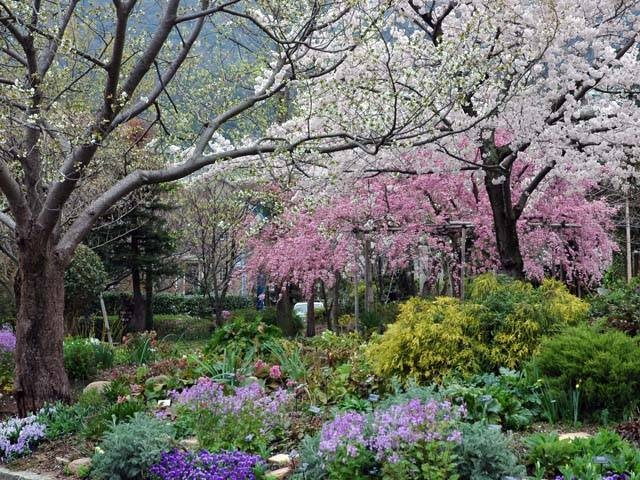 関西で必ず行きたい ガイド編集部おすすめの植物園スポット まっぷるトラベルガイド