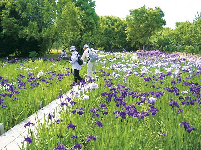 尼崎 伊丹で必ず行きたい ガイド編集部おすすめの公園スポット まっぷるトラベルガイド