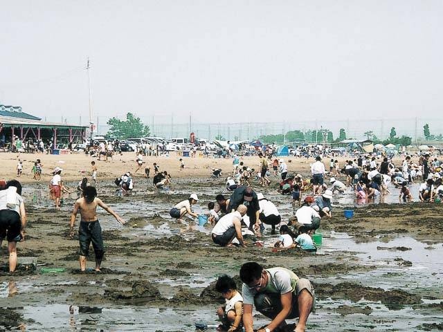 関西で必ず行きたい ガイド編集部おすすめの潮干狩りスポット まっぷるトラベルガイド