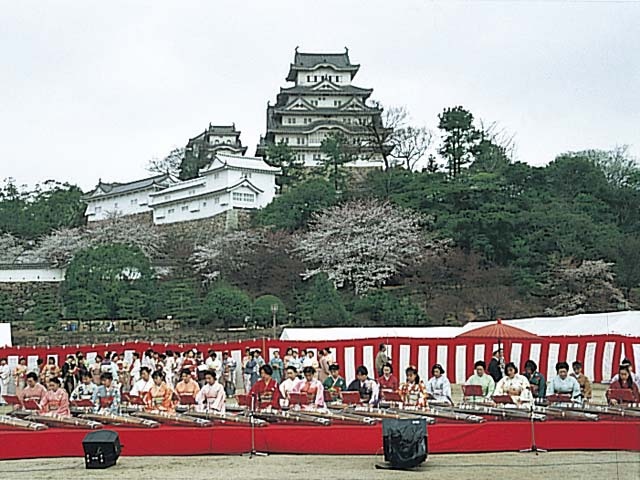 姫路城観桜会の営業時間 場所 地図等の情報 まっぷるトラベルガイド