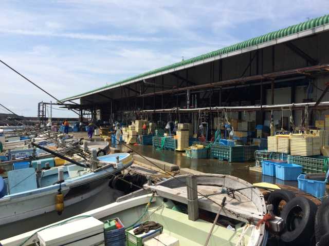 由良の魚市場の営業時間 場所 地図等の情報 まっぷるトラベルガイド