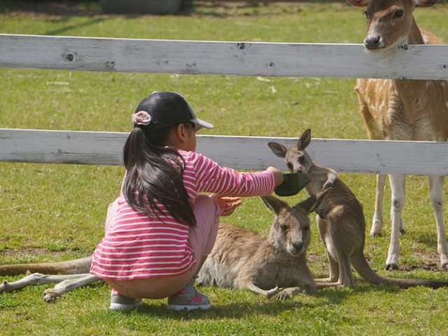 兵庫県立赤穂海浜公園 動物ふれあい村 ー 動物たちとのふれあいと普段の表情を楽しめる 営業時間 場所 地図等の情報 まっぷるトラベルガイド