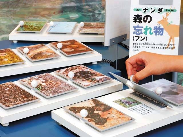 ここがおすすめ ガイド編集部厳選の日本の科学館 学習館スポット まっぷるトラベルガイド