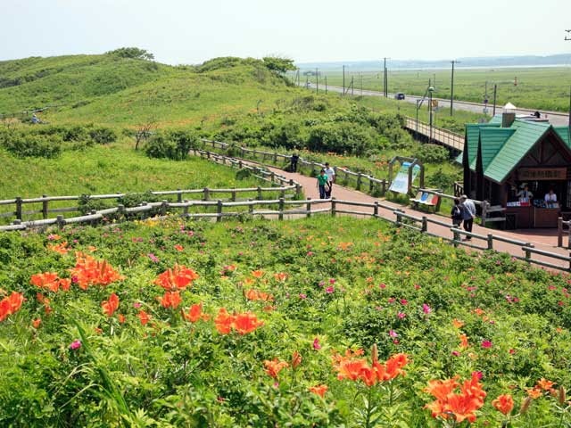 原生花園駅 臨時駅 観光ならここ 原生花園駅 臨時駅 でおすすめの観光 旅行スポット 22版 まっぷるトラベルガイド