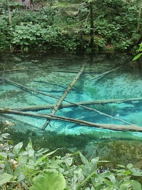 神の子池の営業時間 場所 地図等の情報 まっぷるトラベルガイド