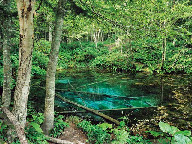 神の子池の営業時間 場所 地図等の情報 まっぷるトラベルガイド