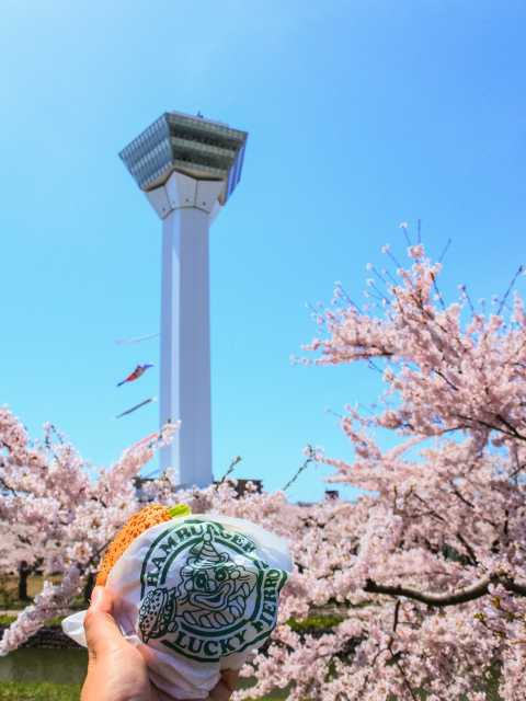 札幌 函館 旭川で必ず行きたい ガイド編集部おすすめの桜の名所スポット まっぷるトラベルガイド