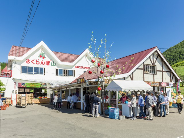 さくらんぼ山観光農園 ー さくらんぼだけでも種4000本栽培されて食べ比べもできる 営業時間 場所 地図等の情報 まっぷるトラベルガイド