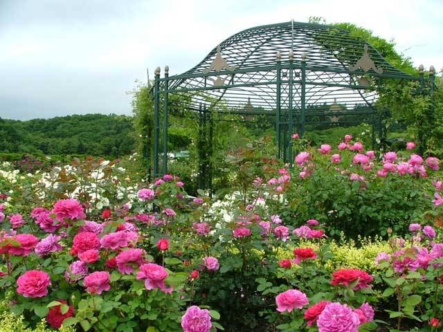 えこりん村の営業時間 場所 地図等の情報 まっぷるトラベルガイド