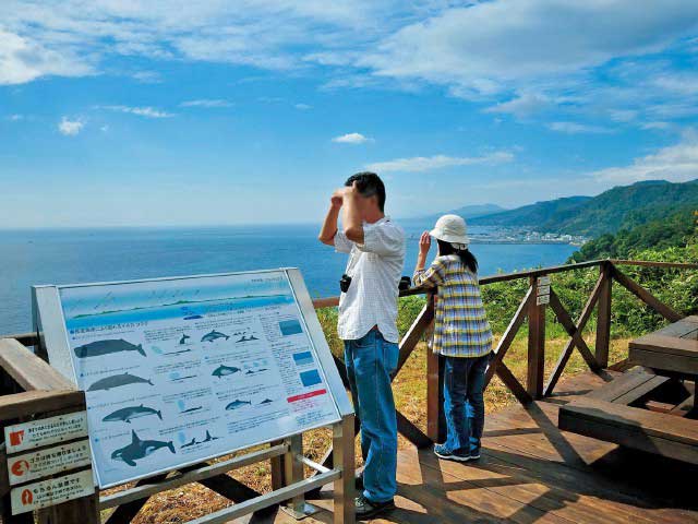 クジラの見える丘公園 展望デッキの営業時間 場所 地図等の情報 まっぷるトラベルガイド