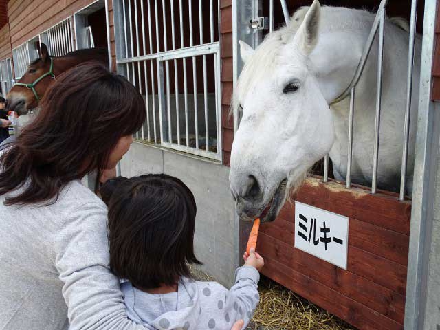 帯広競馬場 ふれあい動物園の営業時間 場所 地図等の情報 まっぷるトラベルガイド