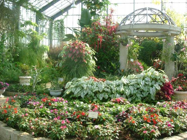 首都圏で必ず行きたい ガイド編集部おすすめの植物園スポット まっぷるトラベルガイド