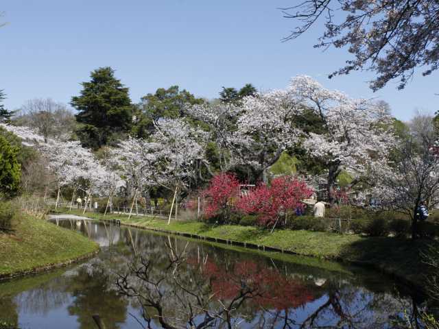 流山市総合運動公園 ー 営業時間・場所・地図等の情報 | まっぷるウェブ