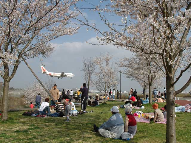 成田で必ず行きたい ガイド編集部おすすめの見どころ レジャースポット まっぷるトラベルガイド