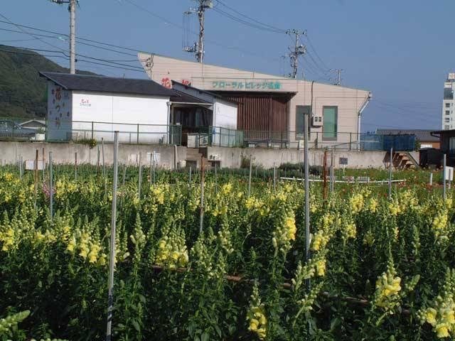 花の里 フローラルビレッジ名倉の営業時間 場所 地図等の情報 まっぷるトラベルガイド