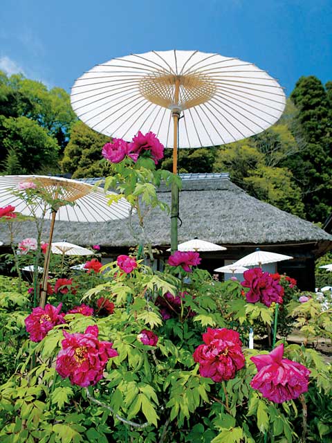 茂原市観光ならここ!茂原市でおすすめの人気観光・旅行スポット - 2026版 | まっぷるウェブ