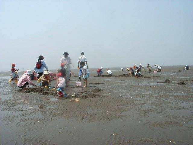 久津間海岸潮干狩り場の営業時間 場所 地図等の情報 まっぷるトラベルガイド 久津間海岸潮干狩り場の営業時間 場所 地図等の情報 まっぷるトラベルガイド