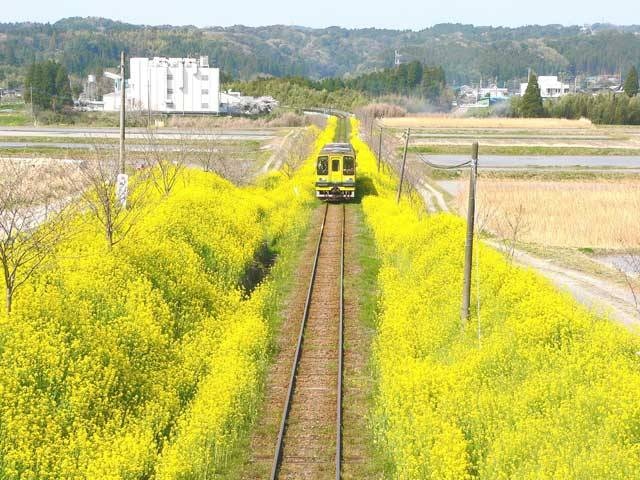 大原 いすみで必ず行きたい ガイド編集部おすすめの見どころ 体験スポット まっぷるトラベルガイド