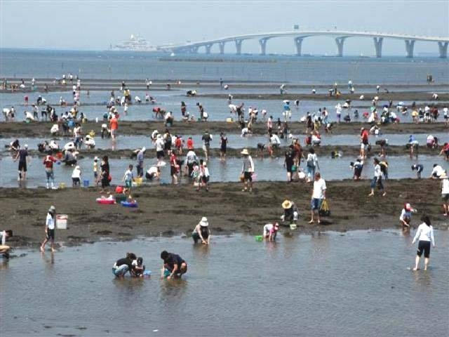 首都圏で必ず行きたい ガイド編集部おすすめの潮干狩りスポット まっぷるトラベルガイド