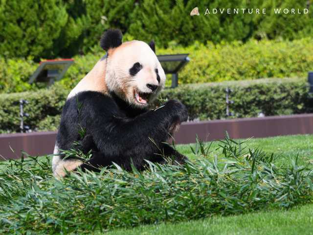 関西で必ず行きたい ガイド編集部おすすめの遊園地 テーマパークスポット まっぷるトラベルガイド