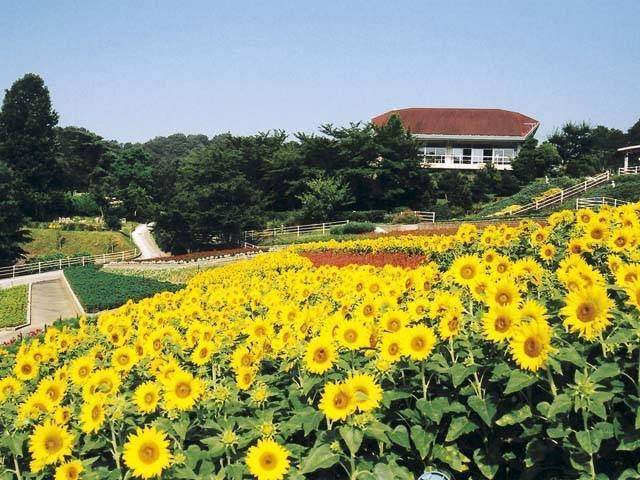 和歌山県植物公園緑花センターの営業時間 場所 地図等の情報 まっぷるトラベルガイド