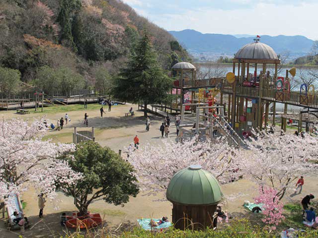 和歌山県植物公園緑花センターの営業時間 場所 地図等の情報 まっぷるトラベルガイド