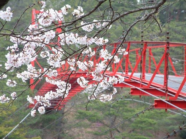 杉村公園の営業時間 場所 地図等の情報 まっぷるトラベルガイド