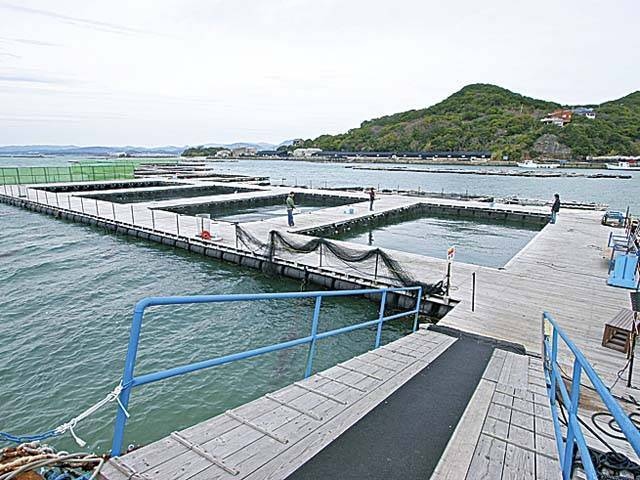 ここがおすすめ ガイド編集部厳選の日本の釣り堀スポット まっぷるトラベルガイド