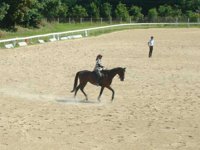 ラ グレース乗馬倶楽部 ラ グレースゴルフ倶楽部 ー 自然に囲まれ心身ともにリフレッシュ 営業時間 場所 地図等の情報 まっぷるトラベルガイド