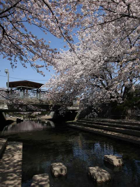 上尾 鴻巣観光ならここ 上尾 鴻巣でおすすめの観光 旅行スポット 22版 まっぷるトラベルガイド